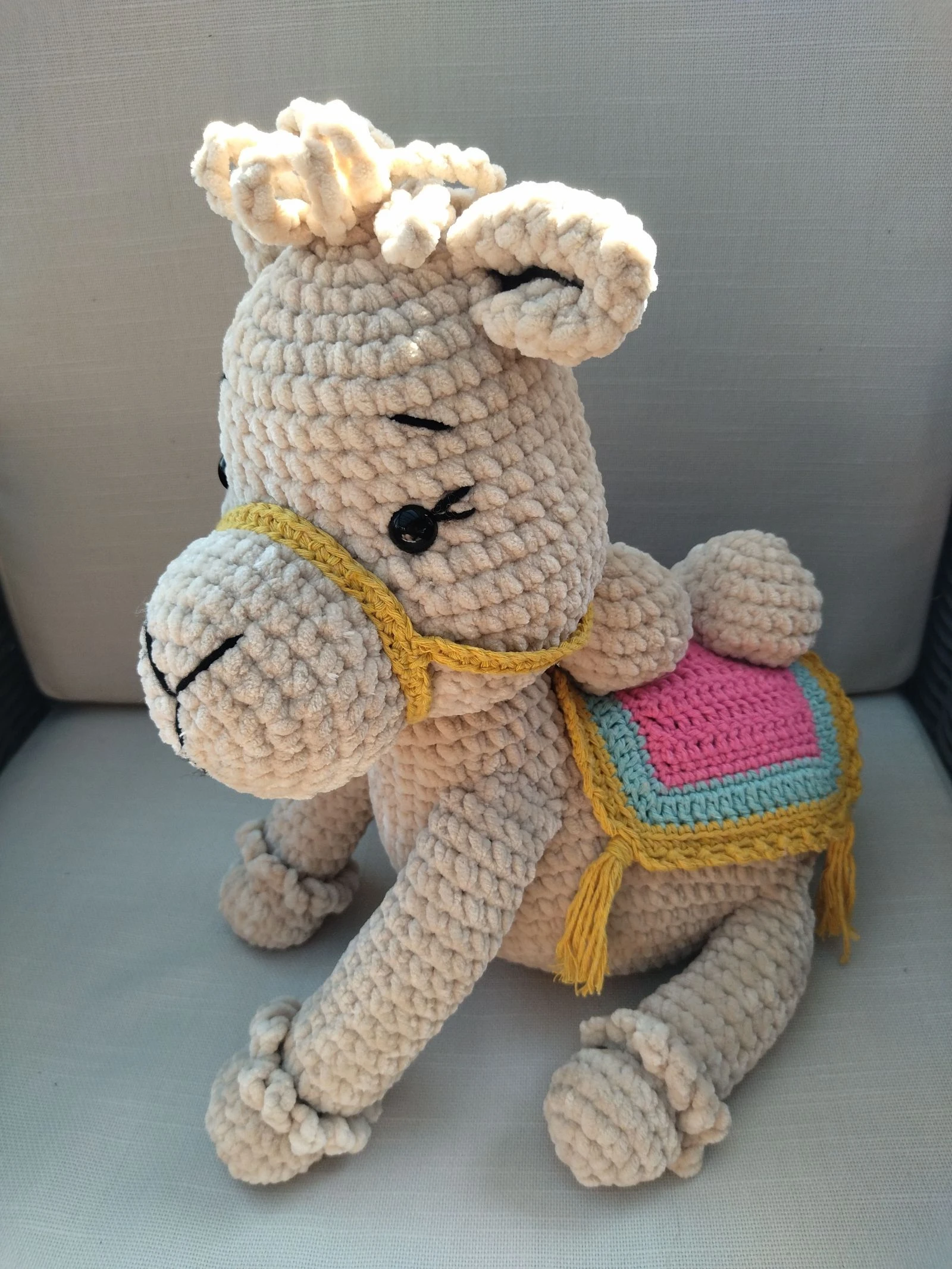 Camel – photo 2
